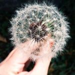 A different way to approach finding better examples